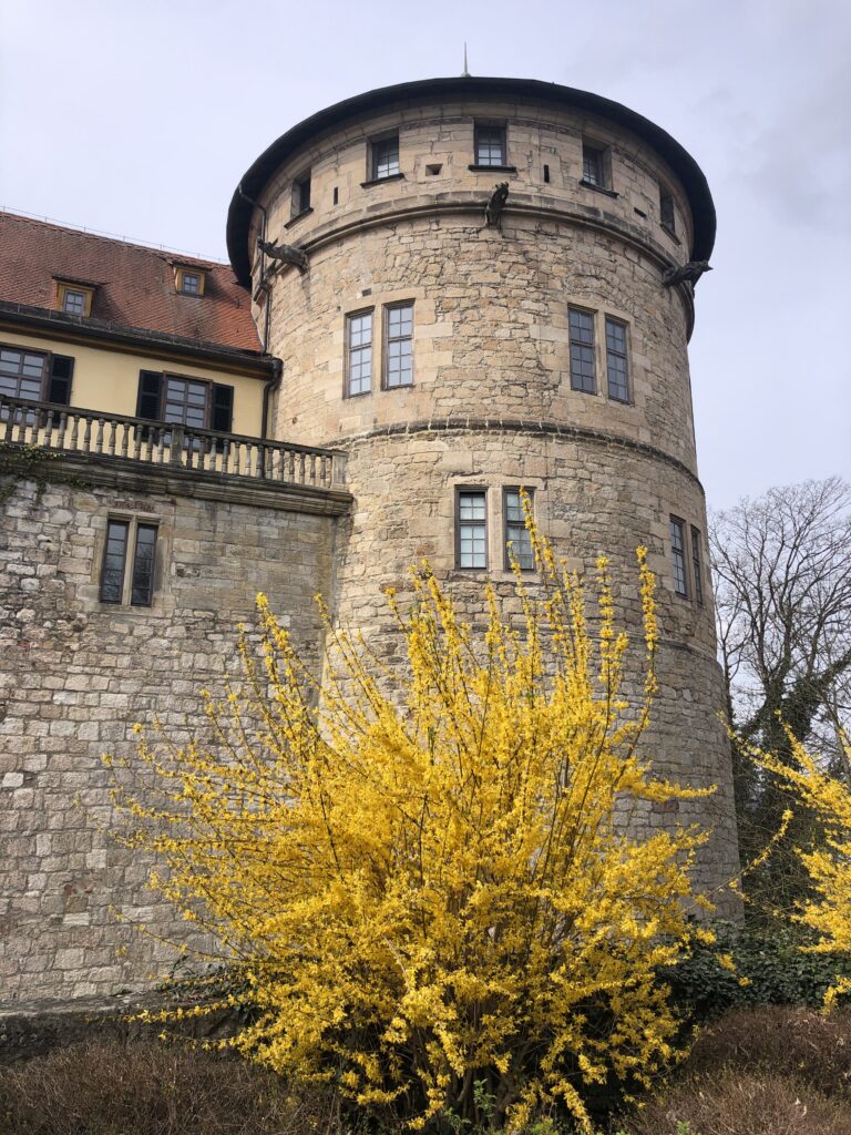 Castle